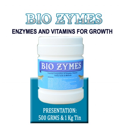 BIO~ZYMES - ENZYMES AND VITAMINS FOR GROWTH